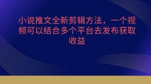 小说推文全新剪辑方法，一个视频可以结合多个平台去发布获取【揭秘】-创库88项目资源网
