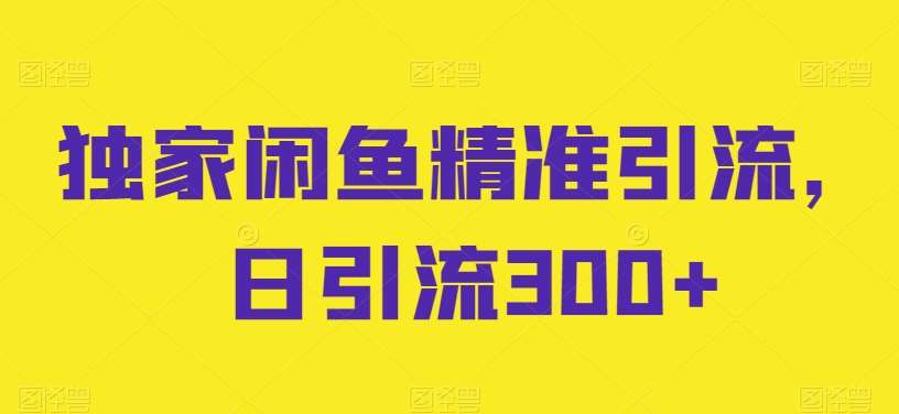 独家闲鱼精准引流，日引流300+【揭秘】-创库88项目资源网