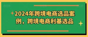 2024年跨境电商选品案例，跨境电商利基选品-创库88项目资源网