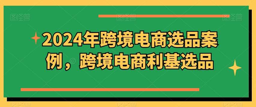 2024年跨境电商选品案例,跨境电商利基选品-创库88项目资源网