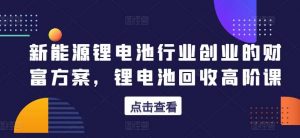 新能源锂电池行业创业的财富方案，锂电池回收高阶课-创库88项目资源网