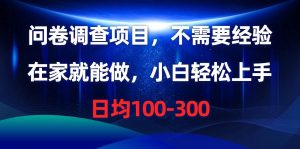（10402期）问卷调查项目，不需要经验，在家就能做，小白轻松上手，日均100-300-创库88项目资源网