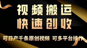 （10417期）一步一步教你赚大钱！仅视频搬运，月入3万+，轻松上手，打通思维，处处…-创库88项目资源网