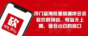 冷门蓝海批量搭建拼多多砍价群项目，收益无上限，适合小白的风口【揭秘】-创库88项目资源网