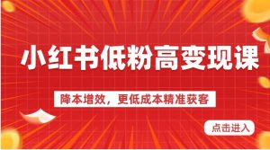 小红书低粉高变现课-降本增效，更低成本精准获客，小红书必爆的流量密码-创库88项目资源网