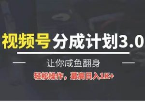 24年视频号冷门蓝海赛道，操作简单，单号收益可达四位数-创库88项目资源网