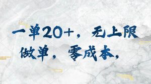 （10455期）一单20+，无上限做单，零成本，执行就有收入-创库88项目资源网