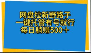 (10468期)网盘拉新野路子,一键托管有号就行,全自动代发视频,每日躺赚500+-创库88项目资源网