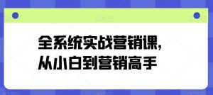 全系统实战营销课，从小白到营销高手-创库88项目资源网