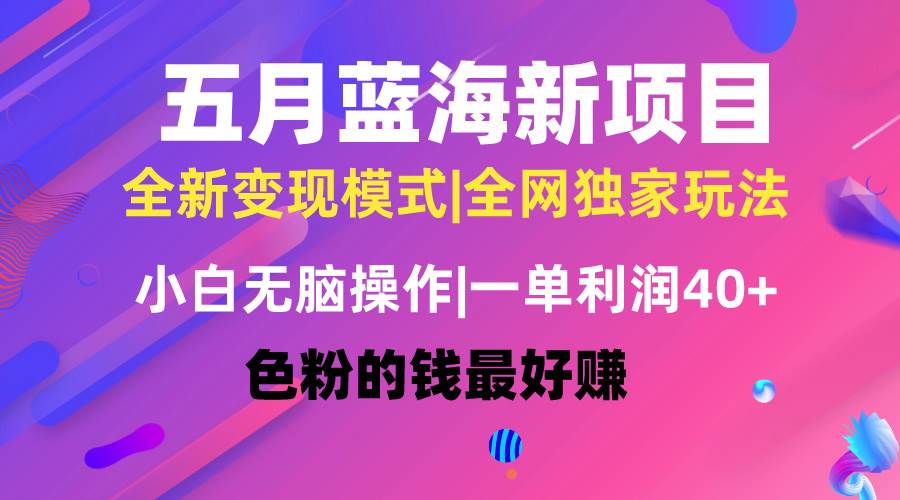（10477期）五月蓝海项目全新玩法，小白无脑操作，一天几分钟，矩阵操作，月入4万+-创库88项目资源网