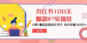 小红书100天爆款IP实操营,0到1做高价值小红书号,每月多赚3000+(16节)-创库88项目资源网