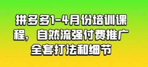 拼多多1-4月份培训课程，自然流强付费推广全套打法和细节-创库88项目资源网
