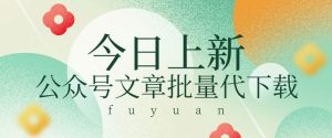 信息差兼职小项目，公众号文章批量下载，零成本月收益3000+【视频+软件】-创库88项目资源网