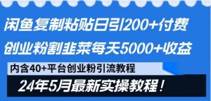 闲鱼复制粘贴日引200+付费创业粉，24年5月最新方法！割韭菜日稳定5000+收益-创库88项目资源网