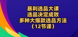 暴利选品大课：选品决定成败，教你多种大爆款选品方法(12节课)-创库88项目资源网