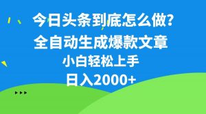 （10541期）今日头条最新最强连怼操作，10分钟50条，真正解放双手，月入1w+-创库88项目资源网