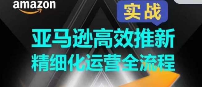 亚马逊高效推新精细化运营全流程，全方位、快速拉升产品排名和销量!-创库88项目资源网