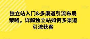 独立站入门&多渠道引流布局策略，详解独立站如何多渠道引流获客-创库88项目资源网