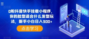 0粉抖音快手挂载小程序，你的脸型适合什么发型玩法，新手小白日入300+【揭秘】-创库88项目资源网