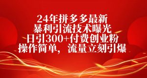 （10559期）24年拼多多最新暴利引流技术曝光，日引300+付费创业粉，操作简单，流量…-创库88项目资源网
