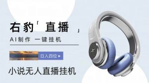 右豹小说无人直播挂机吸金项目，简单易行收益稳定， 月入1000+-创库88项目资源网