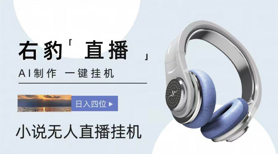 右豹小说无人直播挂机吸金项目，简单易行收益稳定， 月入1000+-创库88项目资源网