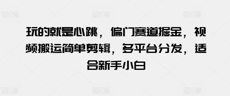 玩的就是心跳,偏门赛道掘金,视频搬运简单剪辑,多平台分发,适合新手小白【揭秘】-创库88项目资源网