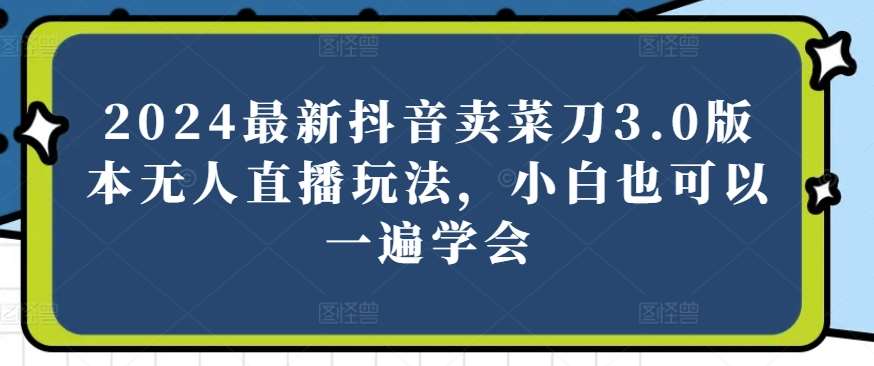 2024最新抖音卖菜刀3.0版本无人直播玩法，小白也可以一遍学会【揭秘】-创库88项目资源网