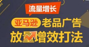 亚马逊流量增长-老品广告放量增效打法，循序渐进，打造更多TOP listing​-创库88项目资源网