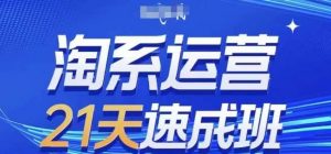 淘系运营21天速成班(更新24年5月)，0基础轻松搞定淘系运营，不做假把式-创库88项目资源网