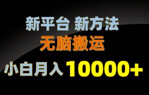 （10605期）新平台新方法，无脑搬运，月赚10000+，小白轻松上手不动脑-创库88项目资源网