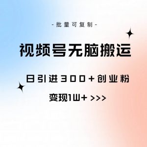 (10612期)视频号无脑搬运日引300+创业粉,变现1W+可批量复制-创库88项目资源网