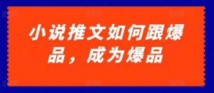 小说推文如何跟爆品，成为爆品【揭秘】-创库88项目资源网