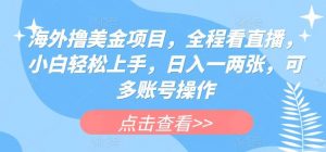 海外撸美金项目，全程看直播，小白轻松上手，日入一两张，可多账号操作【揭秘】-创库88项目资源网