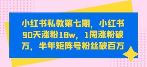 小红书私教第七期，小红书90天涨粉18w，1周涨粉破万，半年矩阵号粉丝破百万-创库88项目资源网