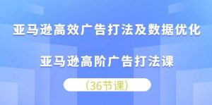 （10649期）亚马逊 高效广告打法及数据优化，亚马逊高阶广告打法课（36节）-创库88项目资源网