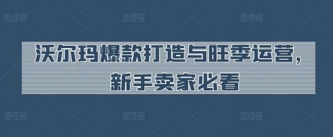 沃尔玛爆款打造与旺季运营，新手卖家必看-创库88项目资源网