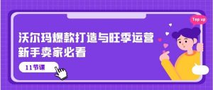（10660期）沃尔玛 爆款打造与旺季运营，新手卖家必看（11节视频课）-创库88项目资源网