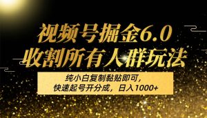 视频号掘金6.0收割所有人群玩法！纯小白复制黏贴即可，快速起号开分成，日入1000+-创库88项目资源网