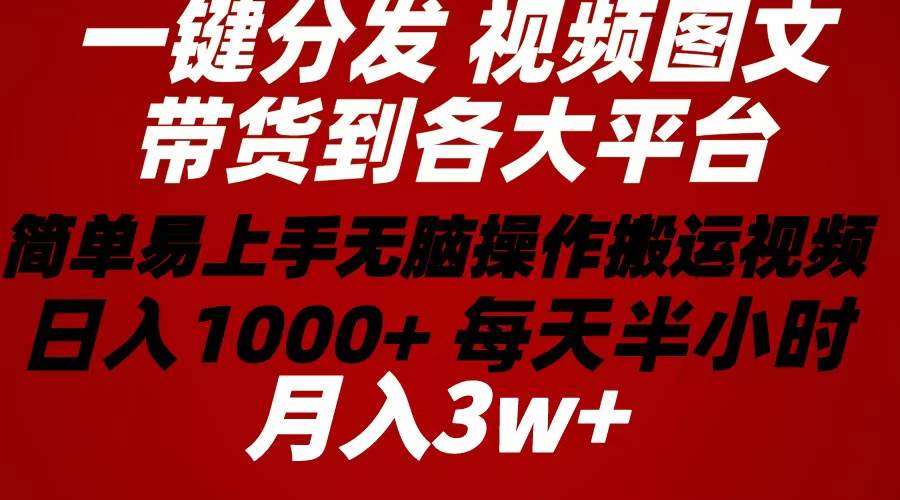 （10667期）2024年 一键分发带货图文视频  简单易上手 无脑赚收益 每天半小时日入1…-创库88项目资源网