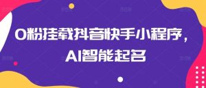 0粉挂载抖音快手小程序，AI智能起名-创库88项目资源网