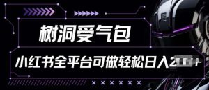 小红书等全平台树洞受气包项目，轻松日入一两张【揭秘】-创库88项目资源网