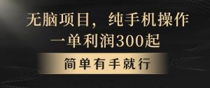 （10699期）无脑项目，一单几百块，轻松月入5w+，看完就能直接操作-创库88项目资源网