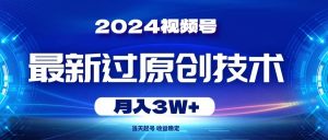 （10704期）2024视频号最新过原创技术，当天起号，收益稳定，月入3W+-创库88项目资源网