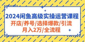 （10711期）2024闲鱼高级实操运营课程：开店/养号/选择爆款/引流/月入2万/全流程-创库88项目资源网
