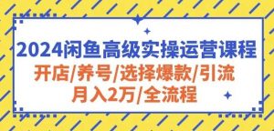 2024闲鱼高级实操运营课程：开店/养号/选择爆款/引流/月入2万/全流程-创库88项目资源网