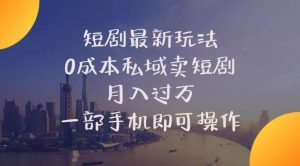 （10716期）短剧最新玩法    0成本私域卖短剧     月入过万     一部手机即可操作-创库88项目资源网